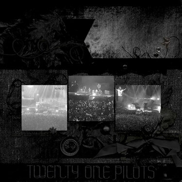 Twenty One Pilots Concert