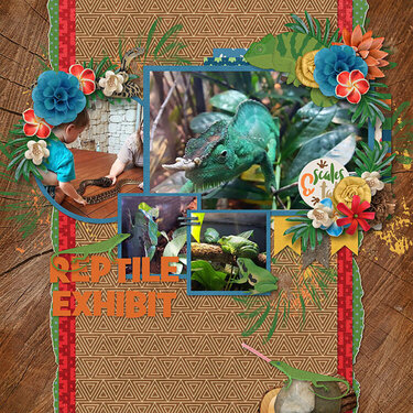 Reptile Exhibit