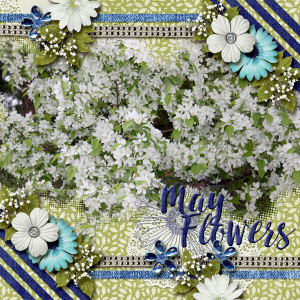 May Flowers