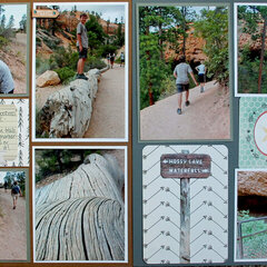 Bryce Canyon - Mossy Cave Trail