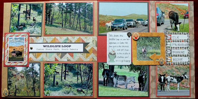 Wildlife Loop Road - Custer Sate Park