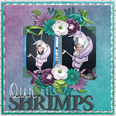 Our Shrimps
