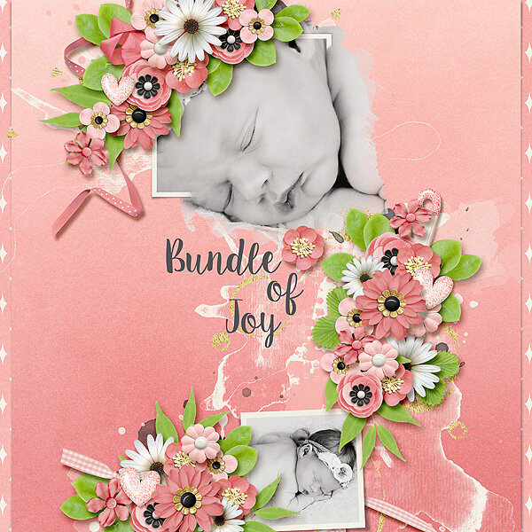 Bundle of Joy