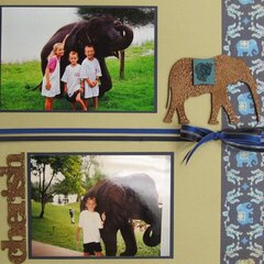 Elephant Memories