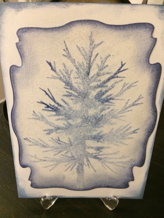 Winter&#039;s Frost