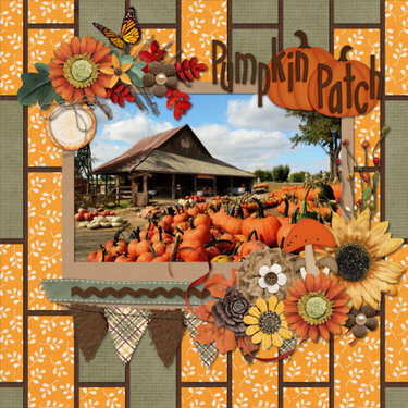 Pumpkin Patch