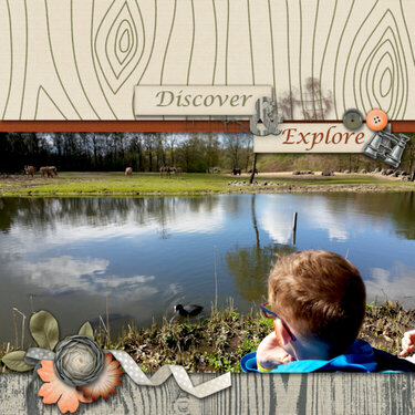 Discover &amp; Explore