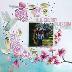 UW Cherry Blossom Festival