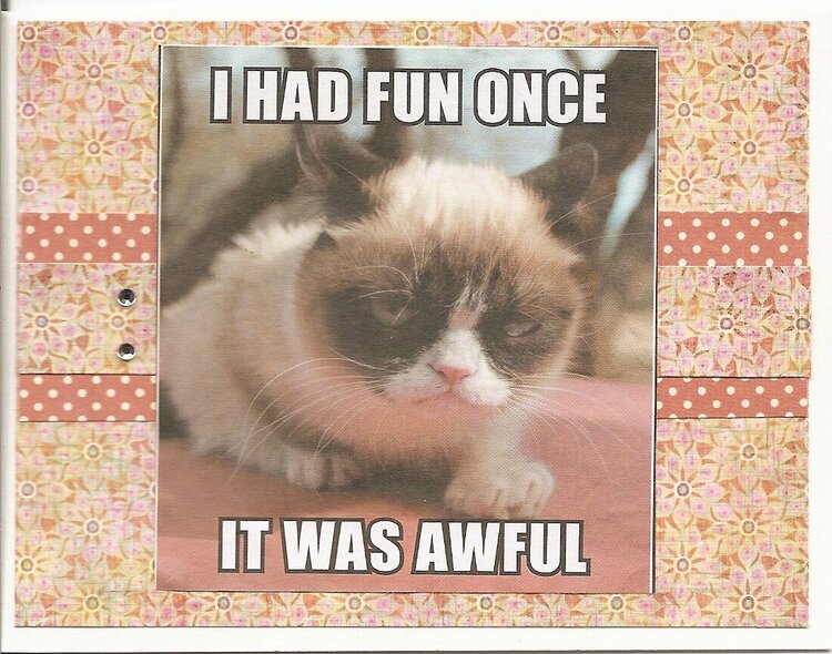 Grumpy Cat