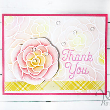 Thank You (Cards for Kindness)