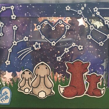 Shaker Card -- Mother &amp; Baby Fox &amp; Bunny Looking Up at Constellations