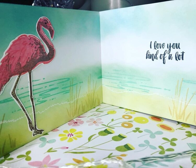 Flamingo card