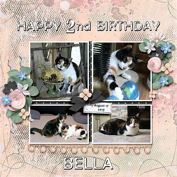 Bella&#039;s 2nd B&#039;day