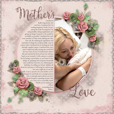 Mother&#039;s Love