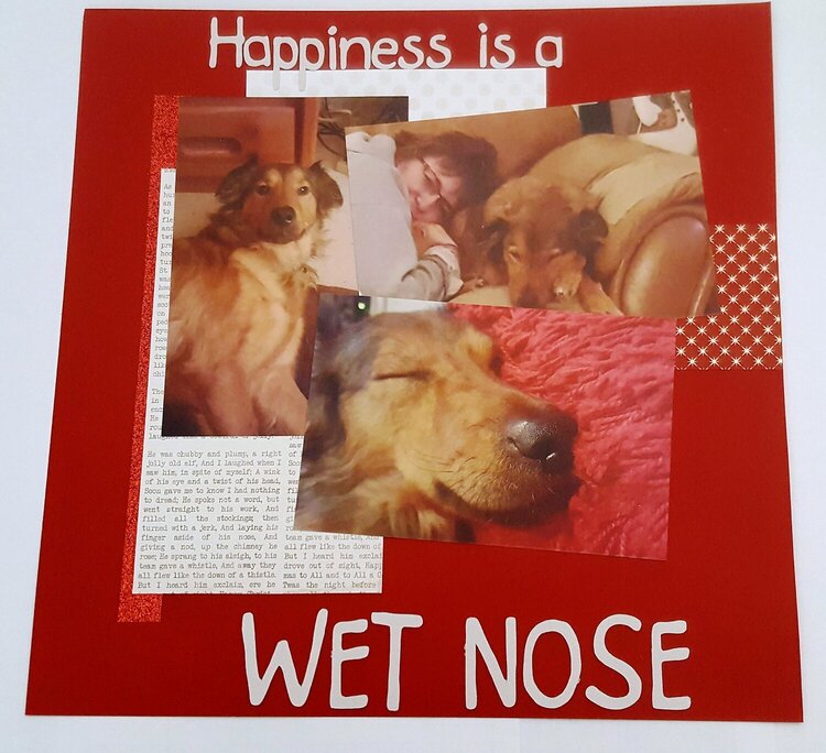 Happiness is a wet nose