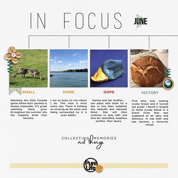In Focus June