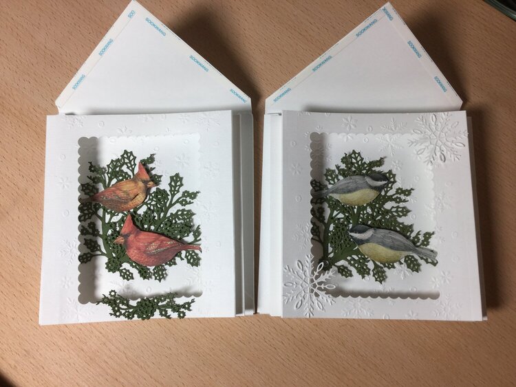 Christmas birds shadow boxes