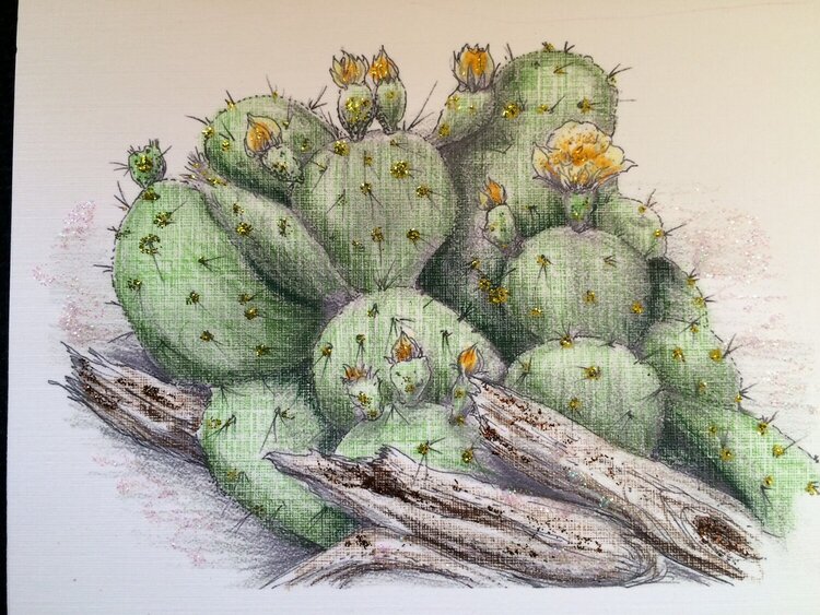 Cactus notecard