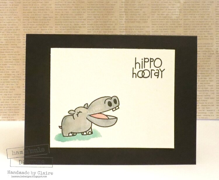 Hippo Hooray
