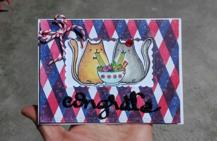 !NOM NOM KITTIES&quot; CARD WITH PLAID BACKGROUND