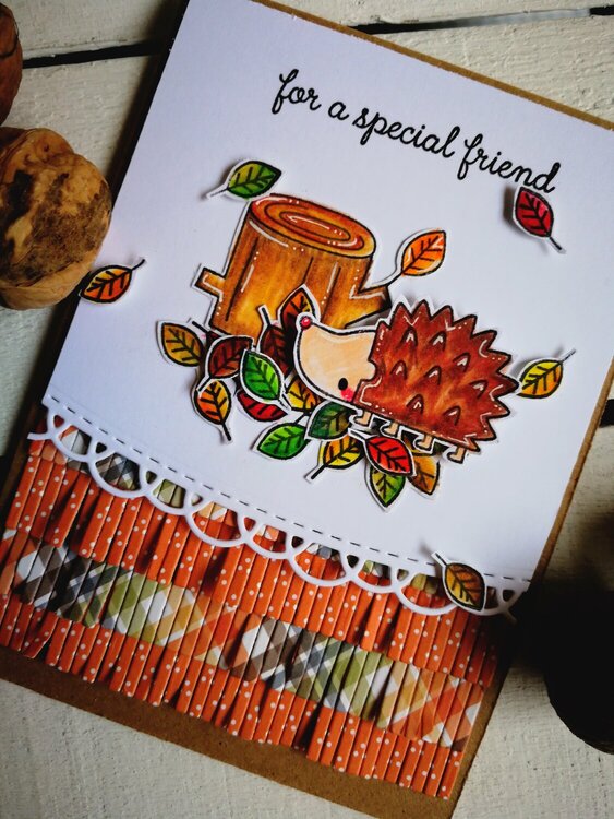 A FALL CARD &quot;FOR A SPECIAL FRIEND&quot;