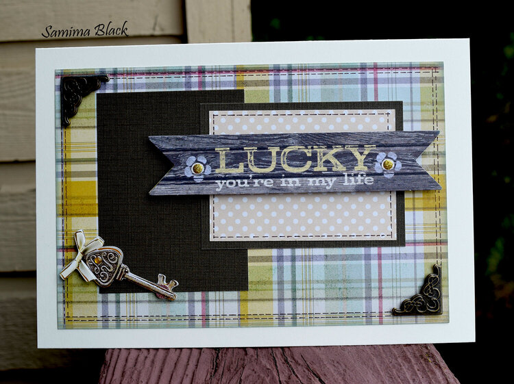 Lucky you&#039;re in my life- Masculine card