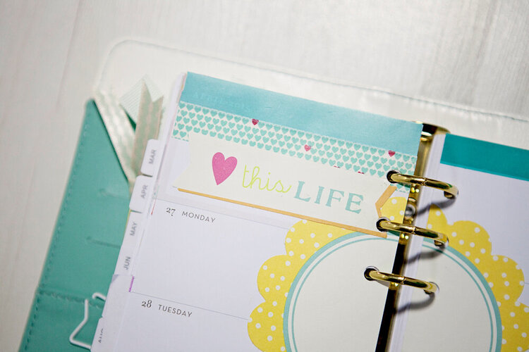 Teal Color Crush Planner