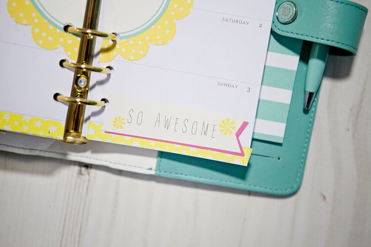 Teal Color Crush Planner