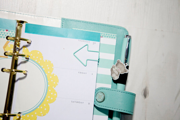 Teal Color Crush Planner