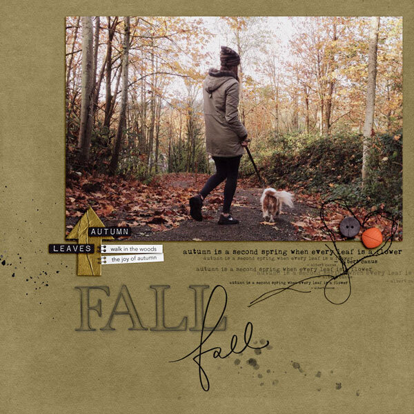Fall - A Walk in the Woods
