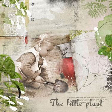 The little plant