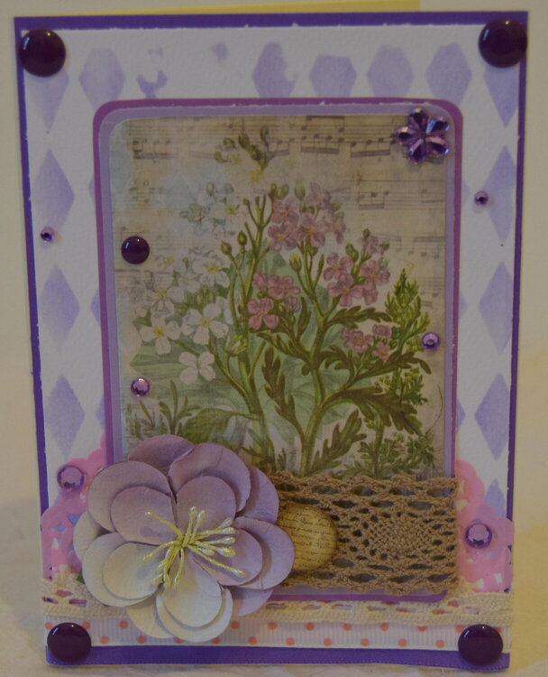 Lilac card