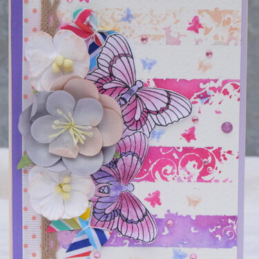 Striped butterfly card