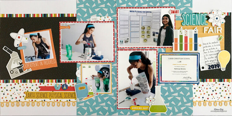 Science Fair Layout