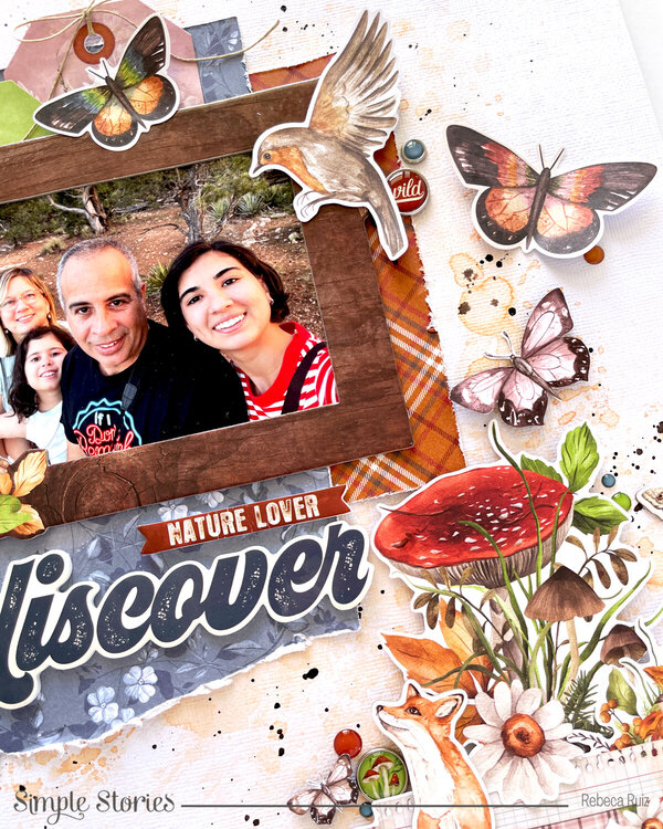 Discover Layout