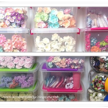 Flowers in plastic containers