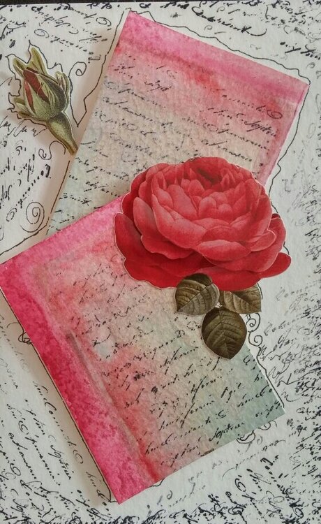 Vintage Rose Greeting Card