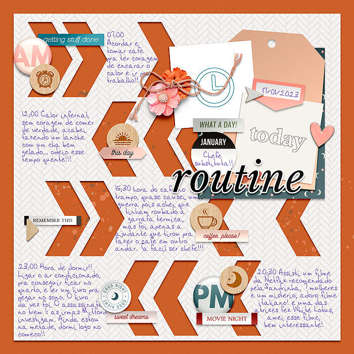 Jan 17: Document Your Day (routine)