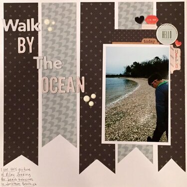 Walk by the ocean