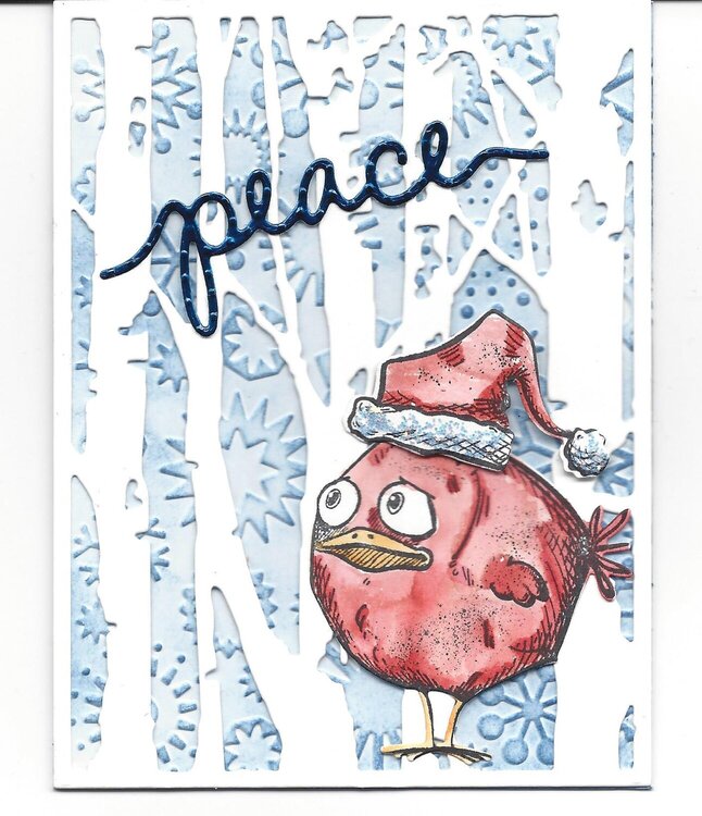 crazy bird xmas card