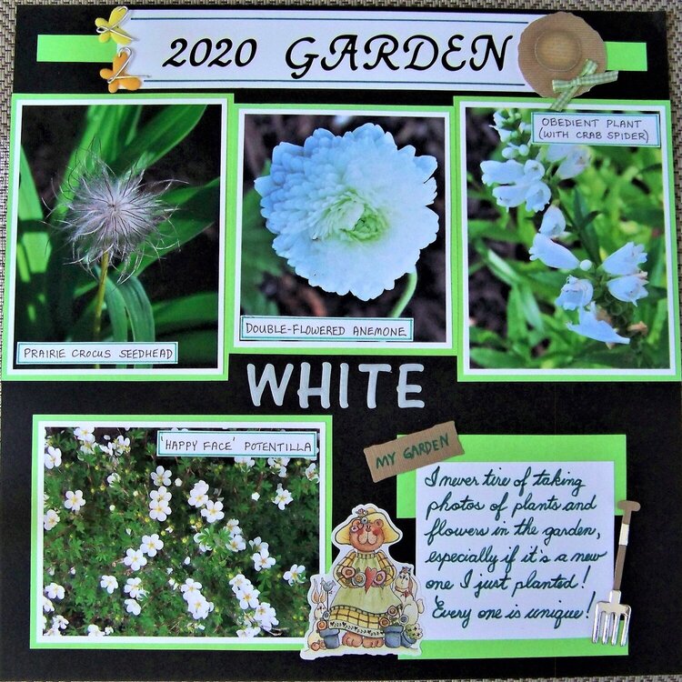 2020 Garden - White flowers
