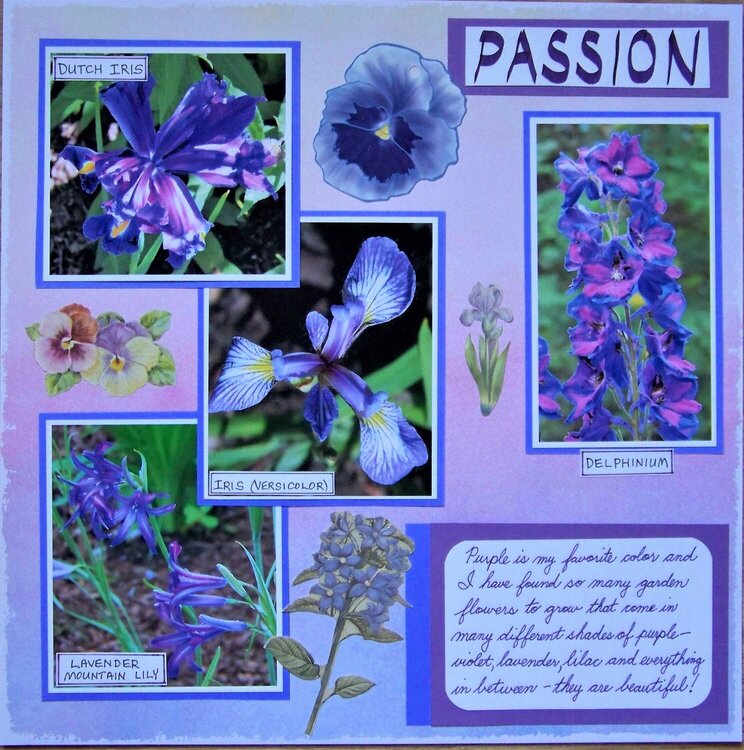 Purple Flowers (page 1)