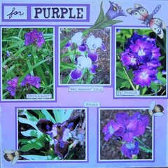 Purple flowers (page 2)