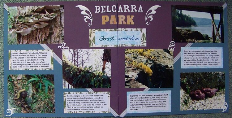 Belcarra Park