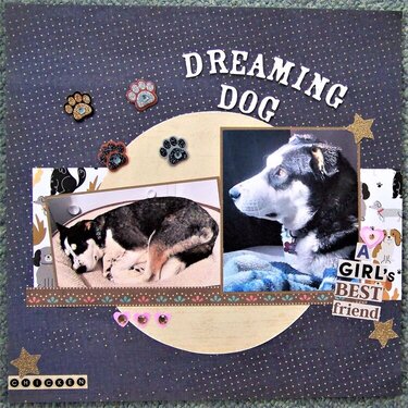 Dreaming Dog