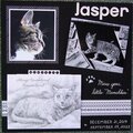 Jasper (in memory) 