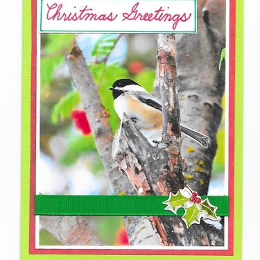 Christmas Card (chickadee)