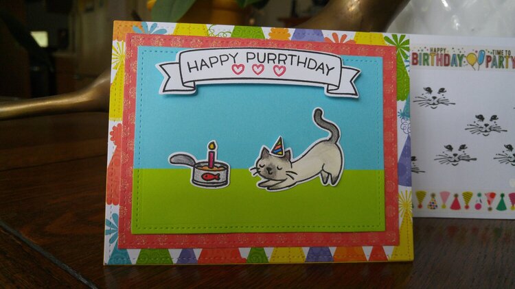Birthday card for cat lover
