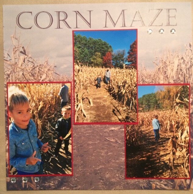 Corn Maze