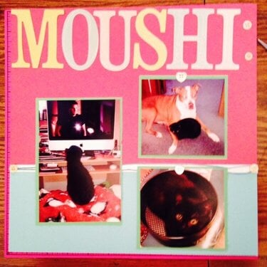 Moushi
